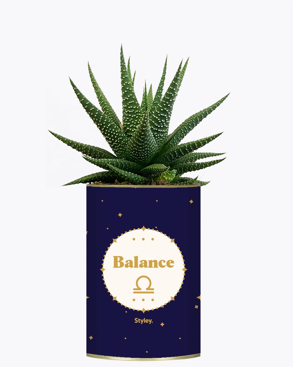 Idée cadeau - astrologie - plante zodiac