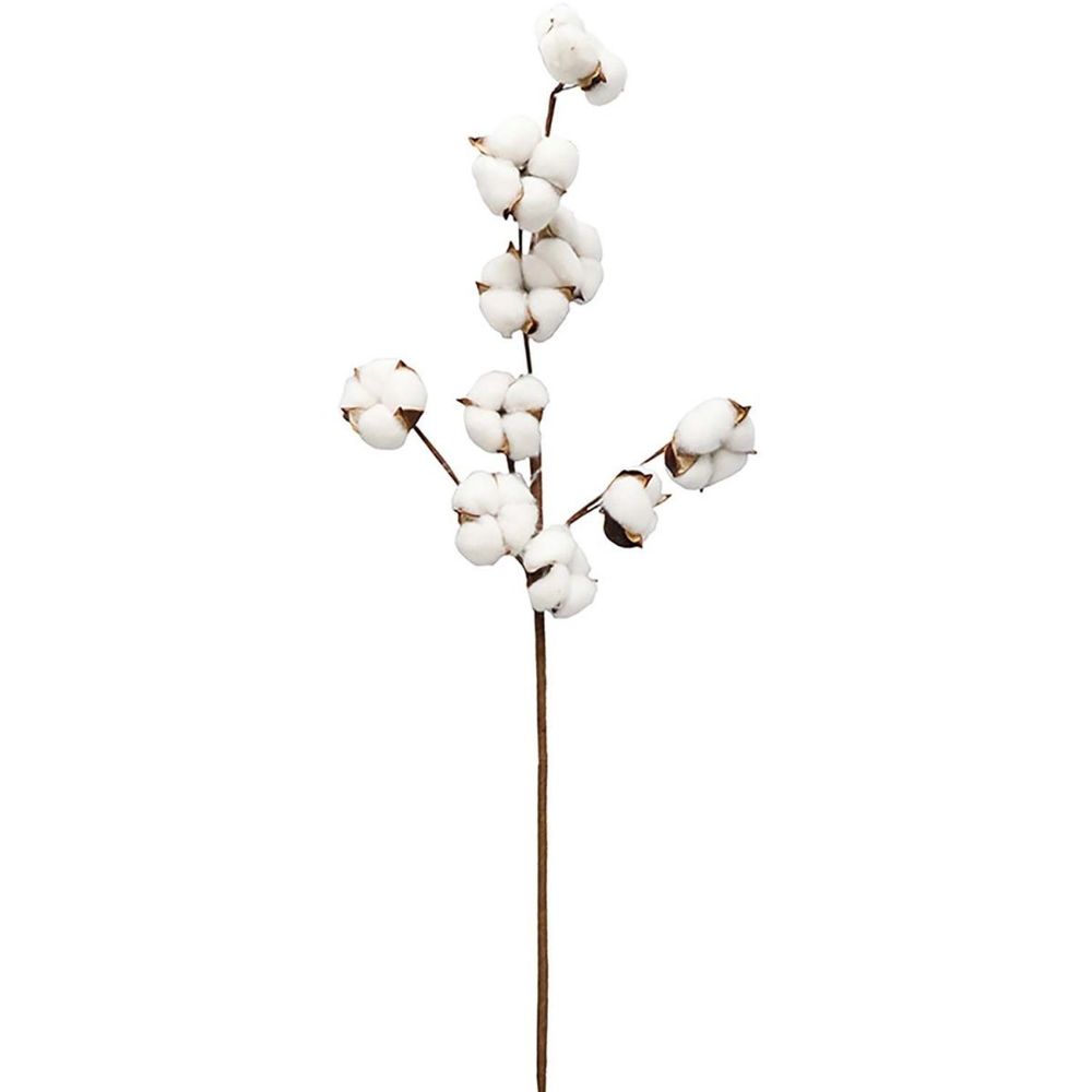 Lot de 3 branches de coton 70cm