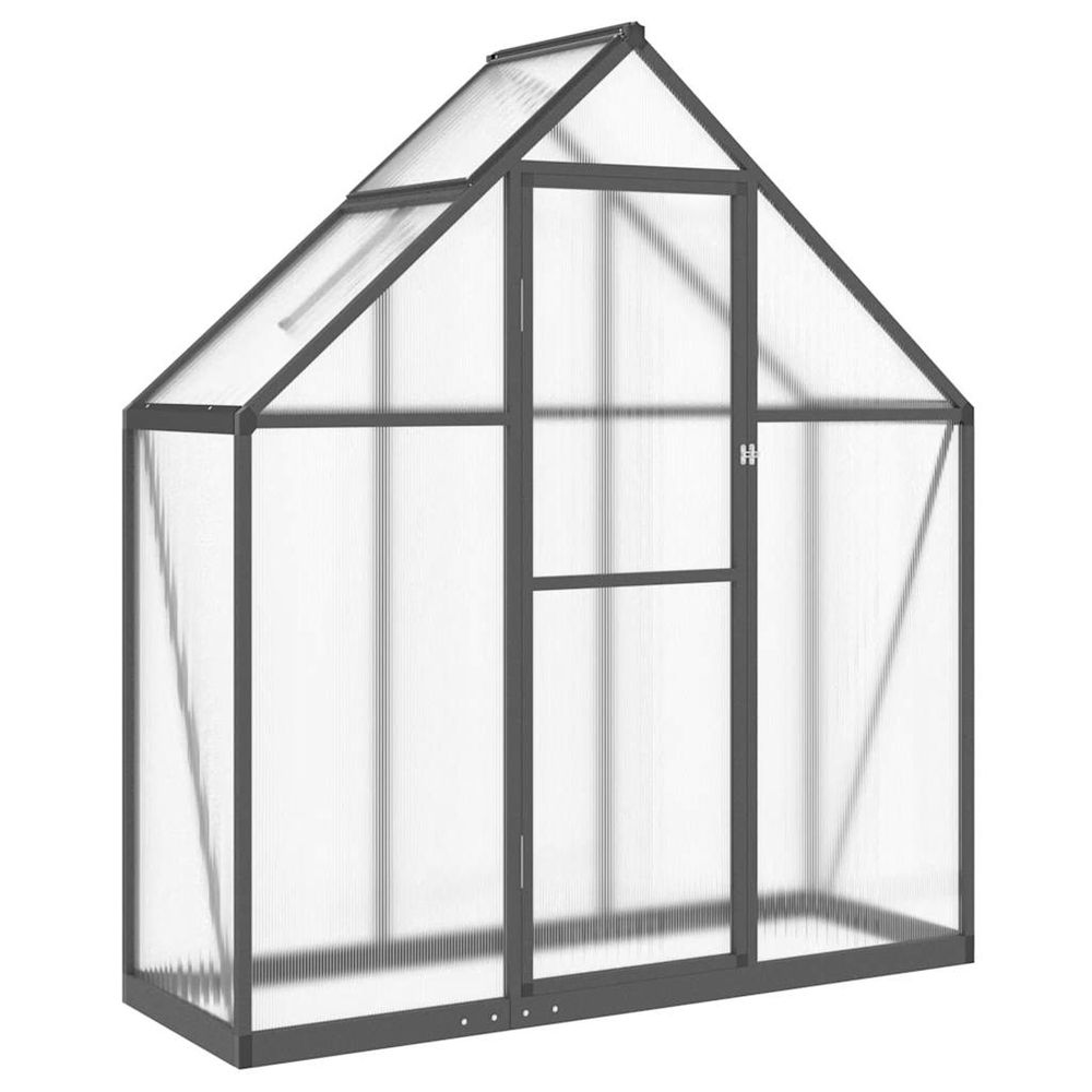 Serre avec cadre de base anthracite 169x58x195 cm aluminium