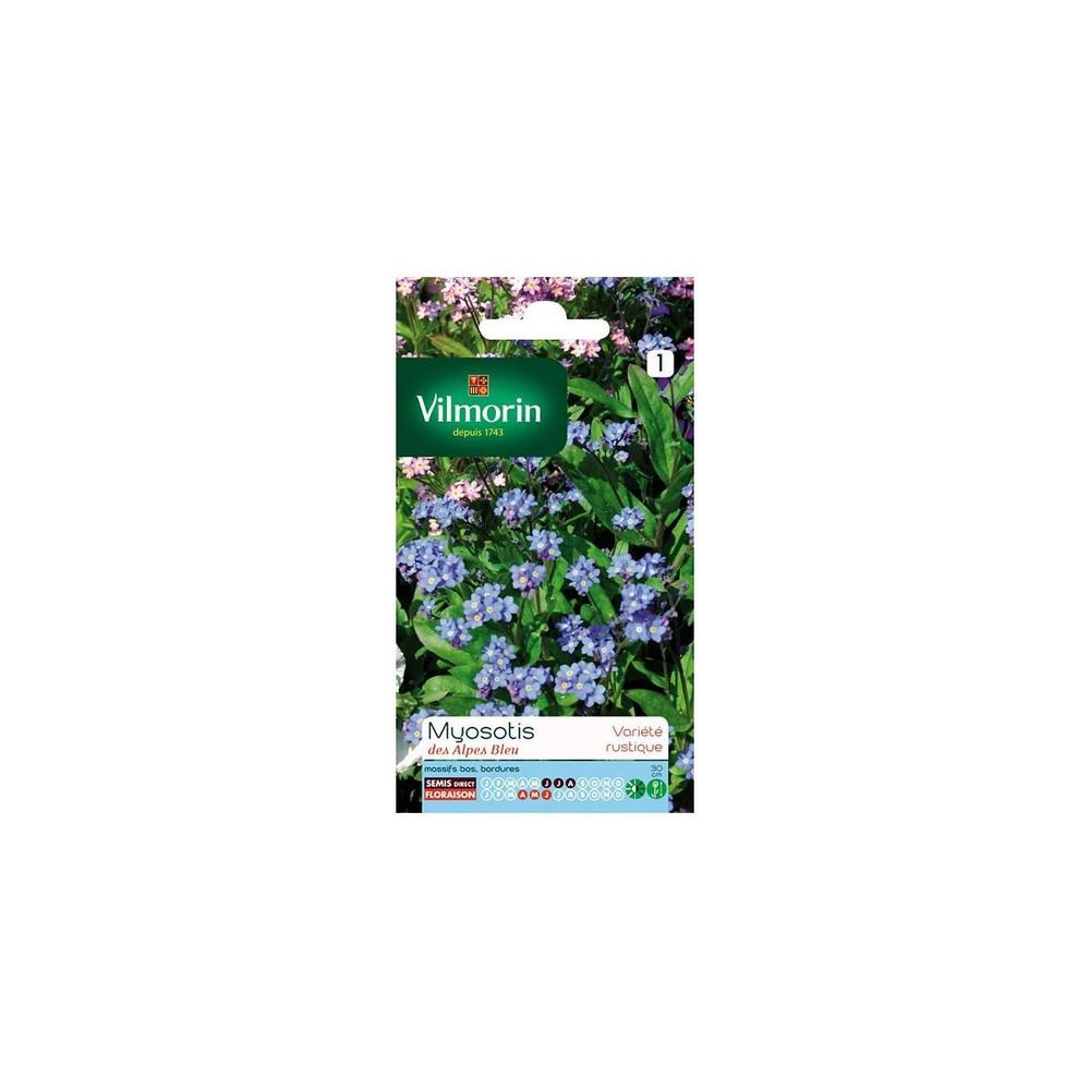 Sachet graines myosotis des alpes bleu