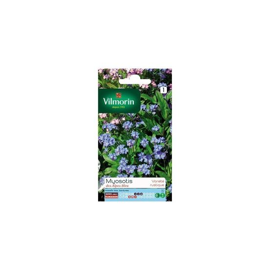 Sachet graines myosotis des alpes bleu
