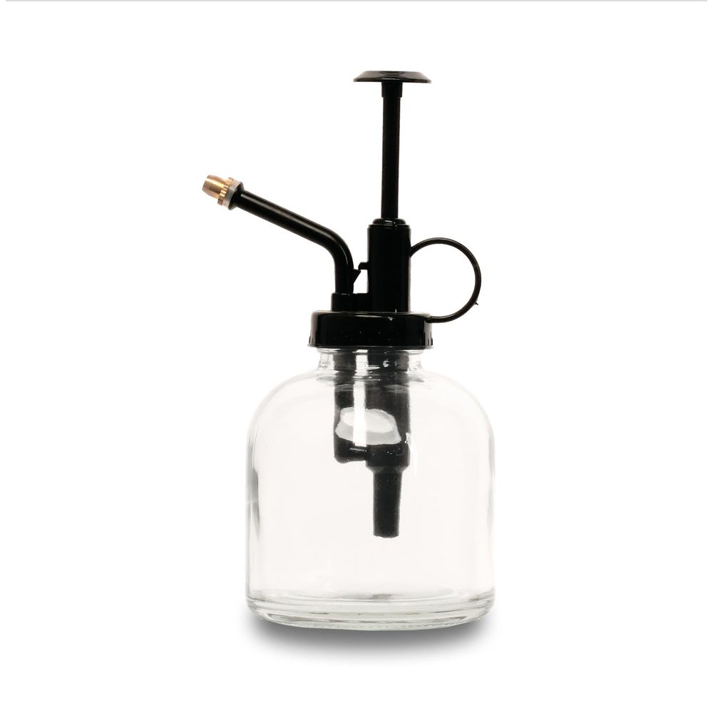 Vaporisateur à plantes - verre transparent et noir - 300 ml