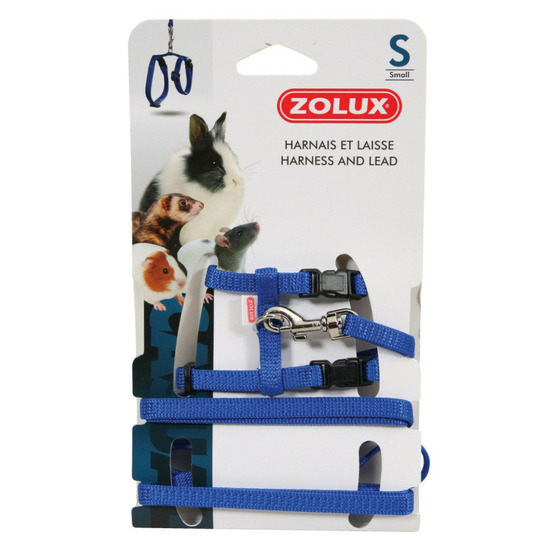 Harnais et laisse bleu taille s pour rongeurs