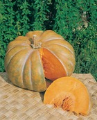 Courge musquee de provence - 5 g