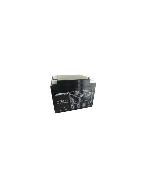 Batterie motoculture tashima 12v, 26a adaptable pour snapper. L: 165, l: 175, h: 125mm, + à droite. - batterie à mettre en acide
