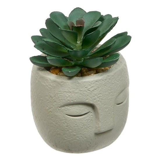 Plante artificielle teri 9 cm avec pot visage
