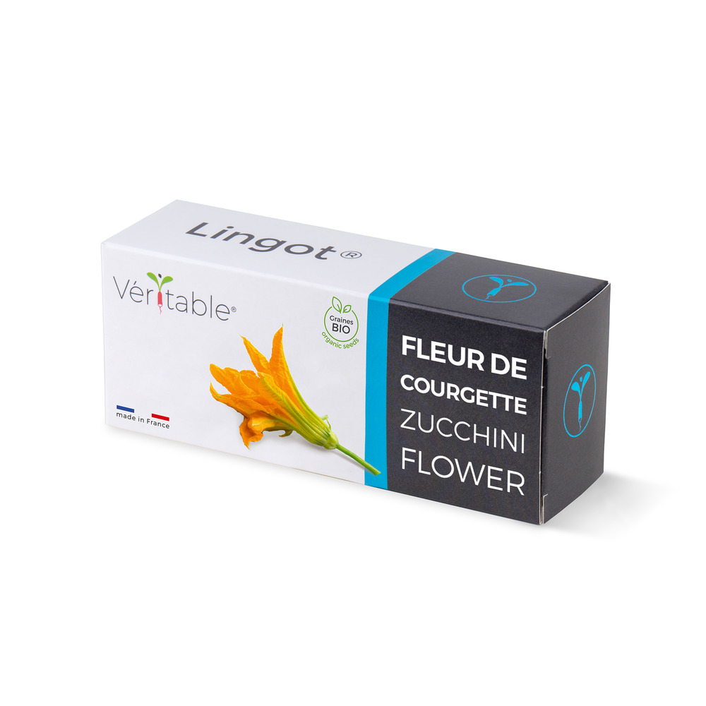 Lingot fleur de courgette bio - recharge prête à l'emploi