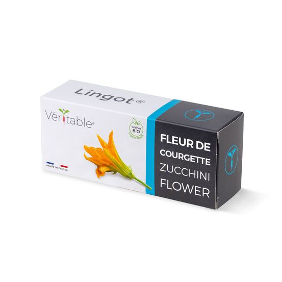 Lingot fleur de courgette bio - recharge prête à l'emploi