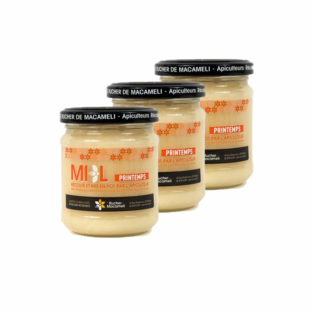 Lot 3x miel de printemps - monts du lyonnais - rhône alpes - le rucher de macameli - pot 250g