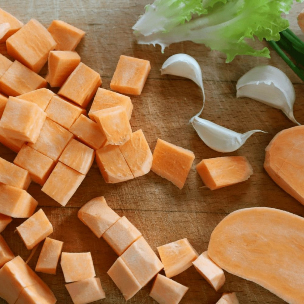 Plant de patate douce bonita godet