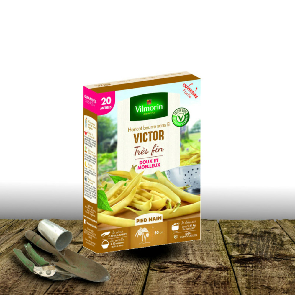 Graines de haricot nain beurre victor - vilmorin boite - 20 mètres