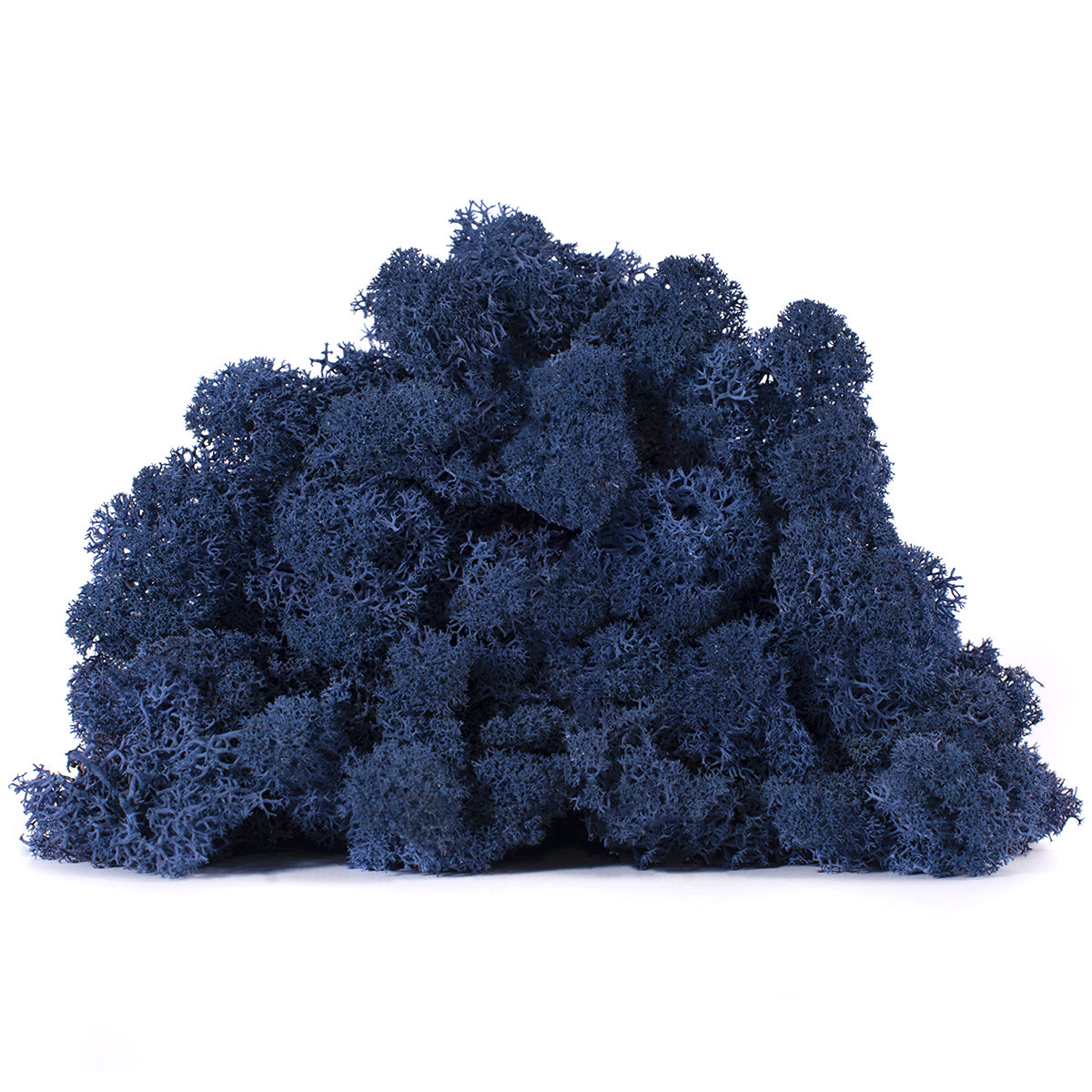 Lic/0584 lichen stabilisée bleu w-box 0,5 kg