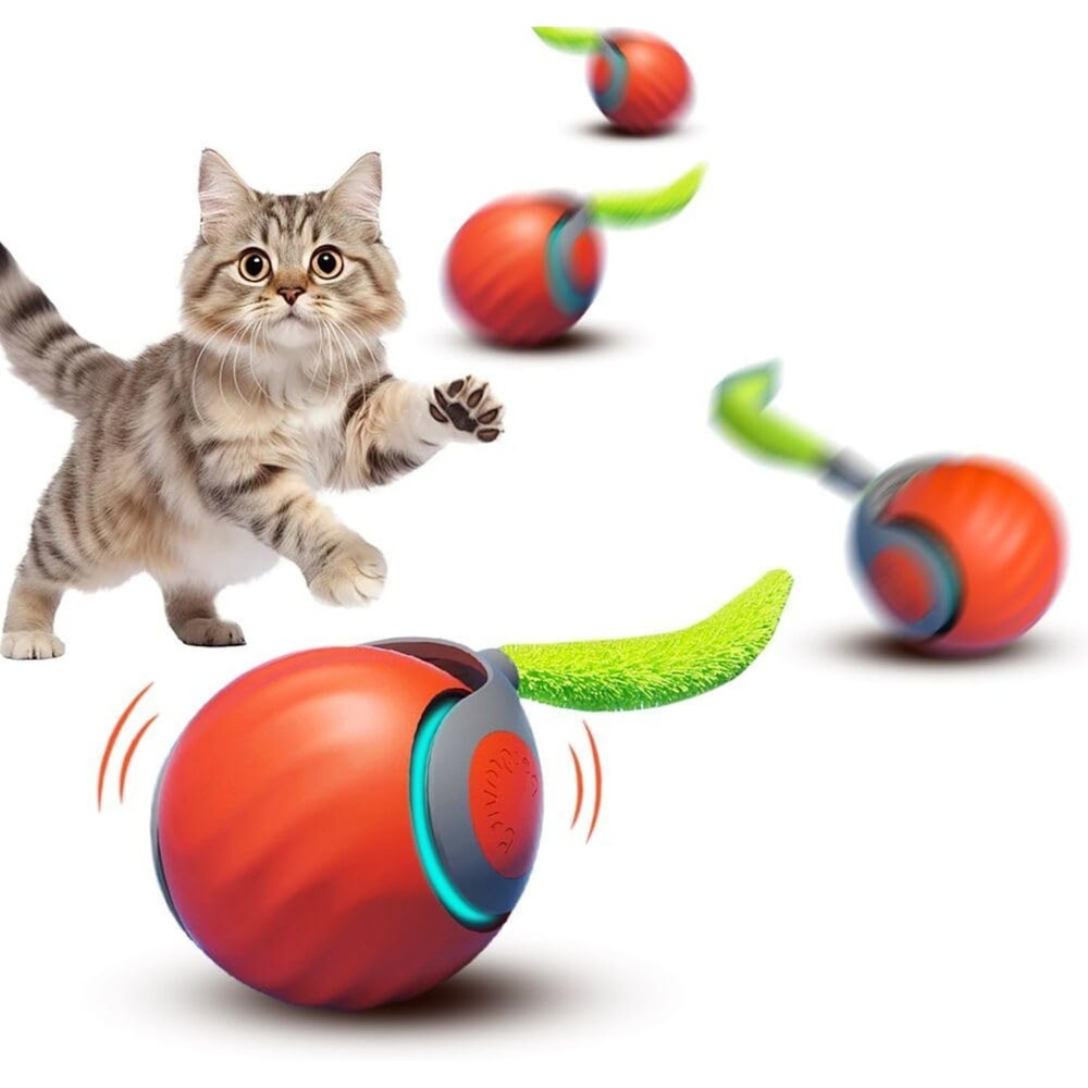 Balle roulante automatique - jouet chat/chien