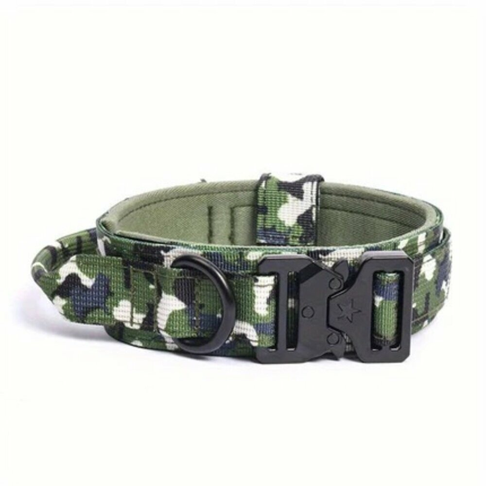 Collier tactique camouflage vert s pour chien, francecroquettes