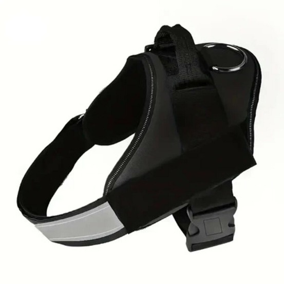 Harnais bleu l pour chien, francecroquettes