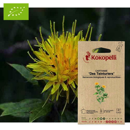 Graines bio à semer - carthame carthame des teinturiers