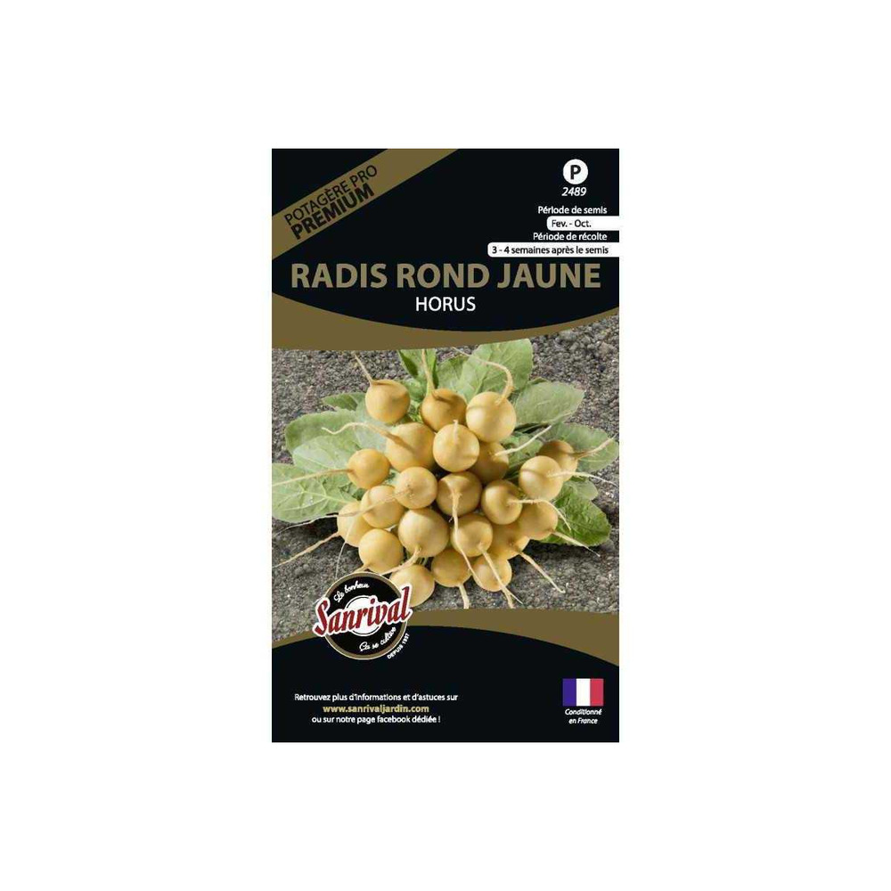Graines potagères premium radis rond jaune horus