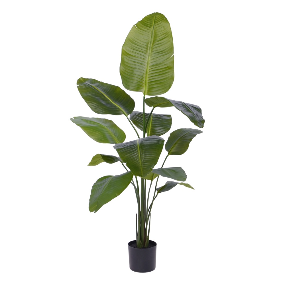 Plante artificielle strelitzia nicolai 150cm