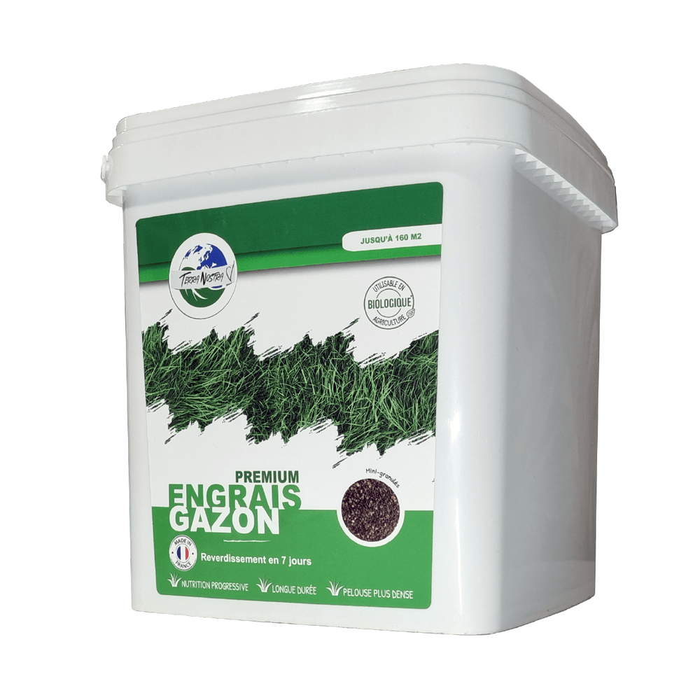 Spray Peinture Herbe Verte Prêt à L'emploi - Lot De 2, 60 Ml Chacun, Pour Pelouse Taches Sèches