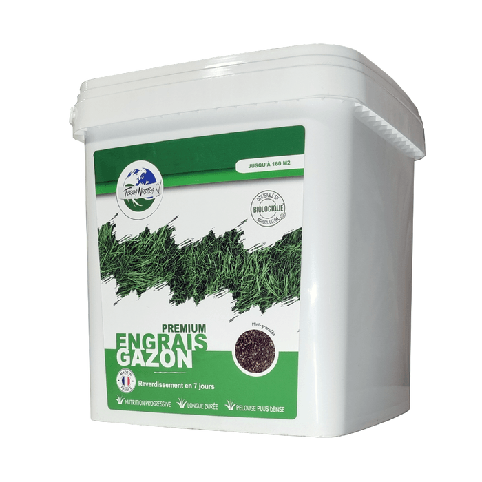 Spray Peinture Herbe Verte Prêt à L'emploi - Lot De 2, 60 Ml Chacun, Pour Pelouse Taches Sèches