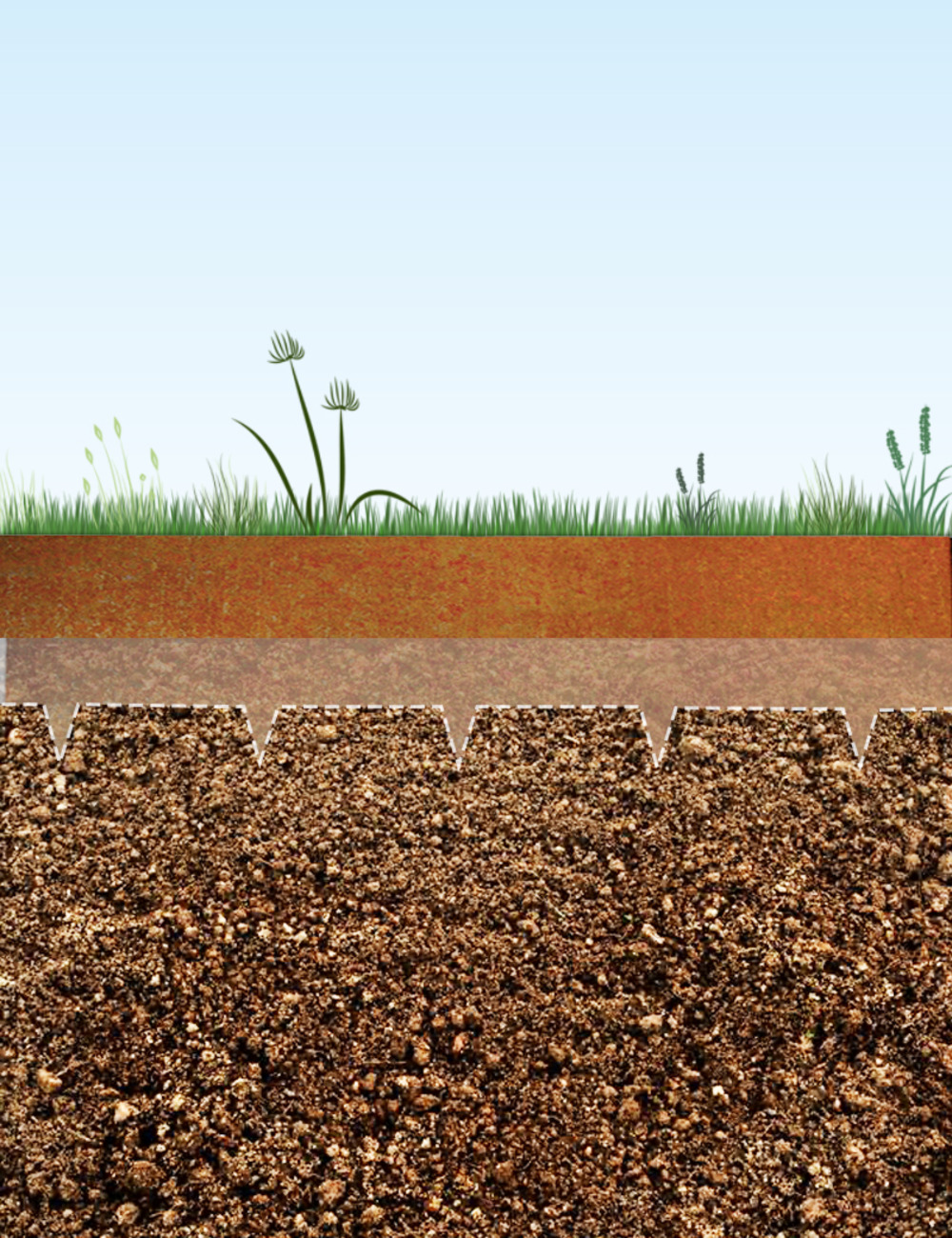 Bordure Arbre En Acier Corten - Diamètre 75 Cm - Protège Et Décore Le Pied Des Arbres - 13