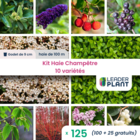 Kit haie champêtre - 10 variétés - lot de 125 godets