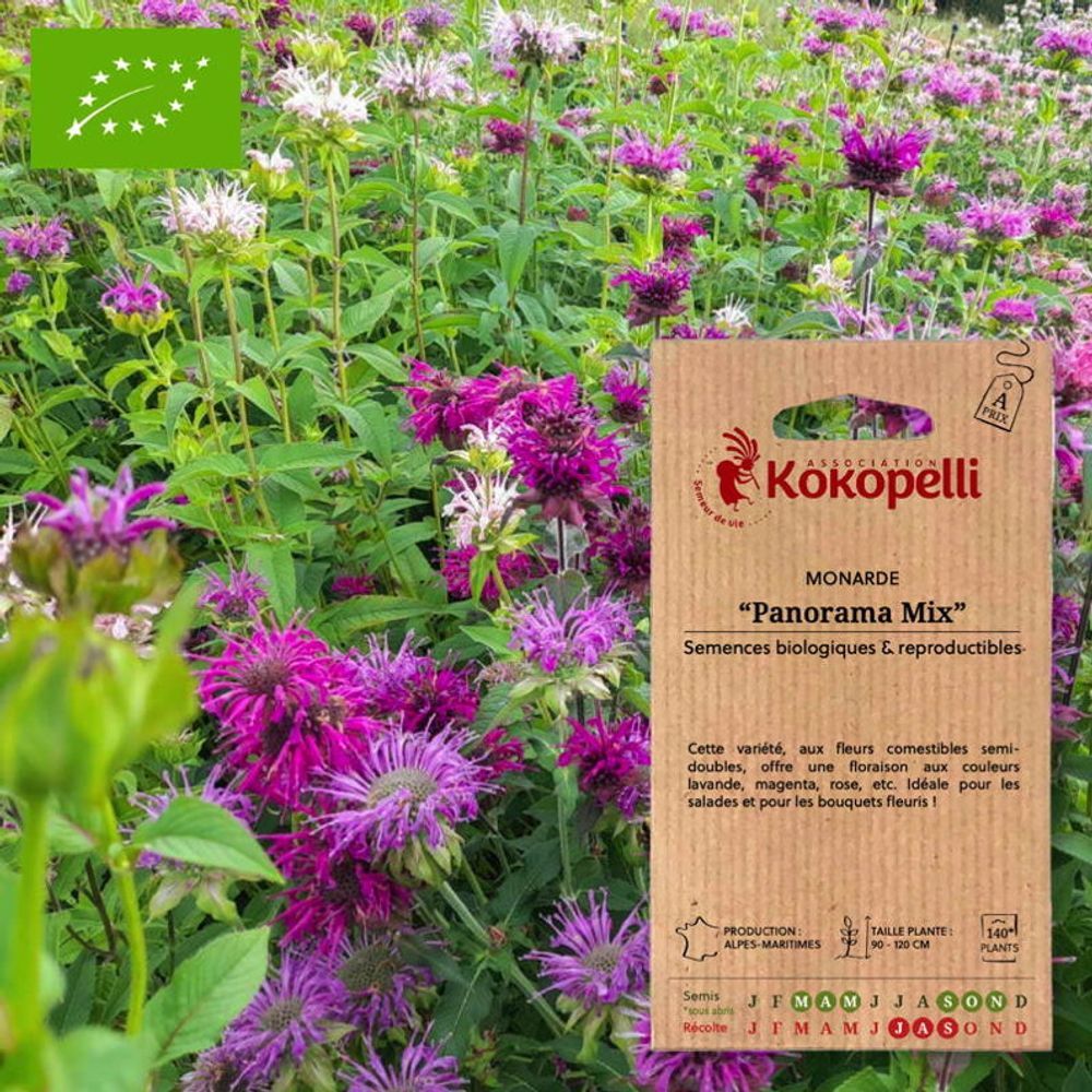 Monarde panorama mix- graines bio à semer