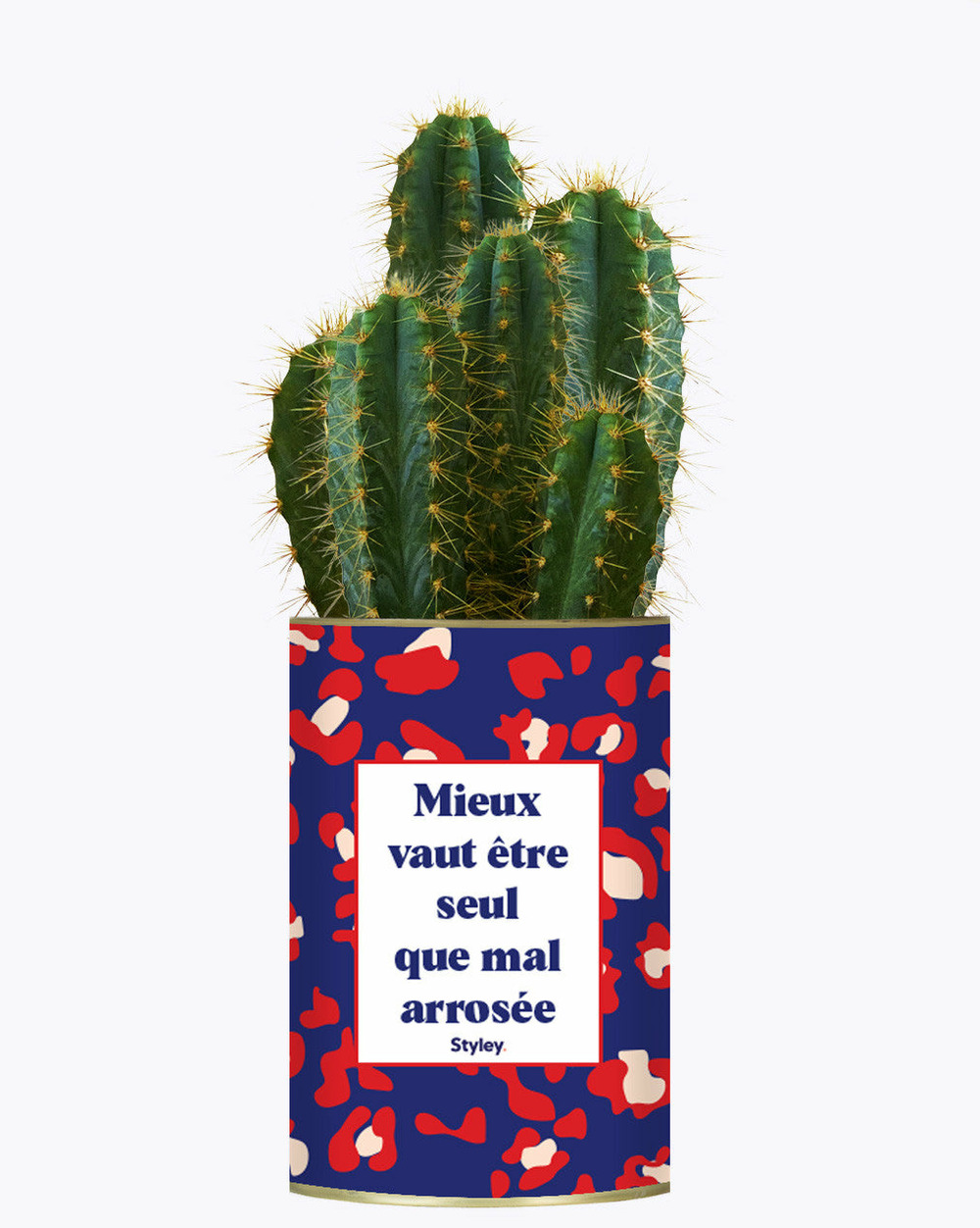 Plante personnalisée - mieux vaut être seule que mal arrosée - cactus