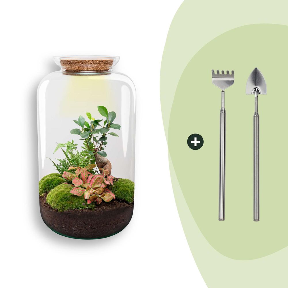 Diy terrarium - sven bonsai - h43 cm - ø43 cm - plantes d'intérieur