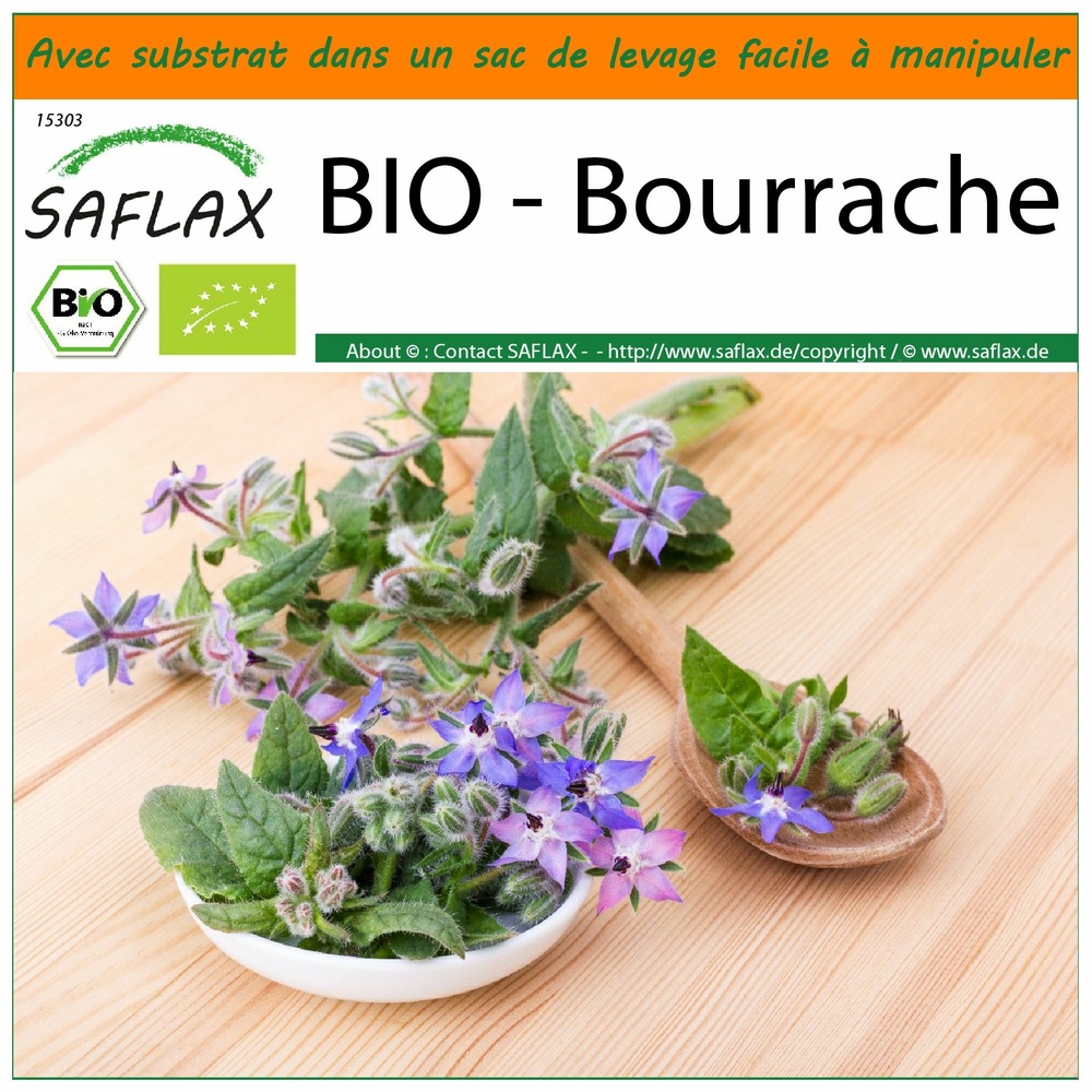 Garden in the bag - bio - bourrache - 40 graines - borago officinalis