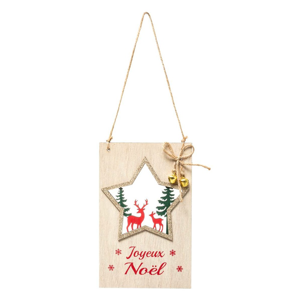 Sujet de noël en cagette étoile noël 2 assortiments