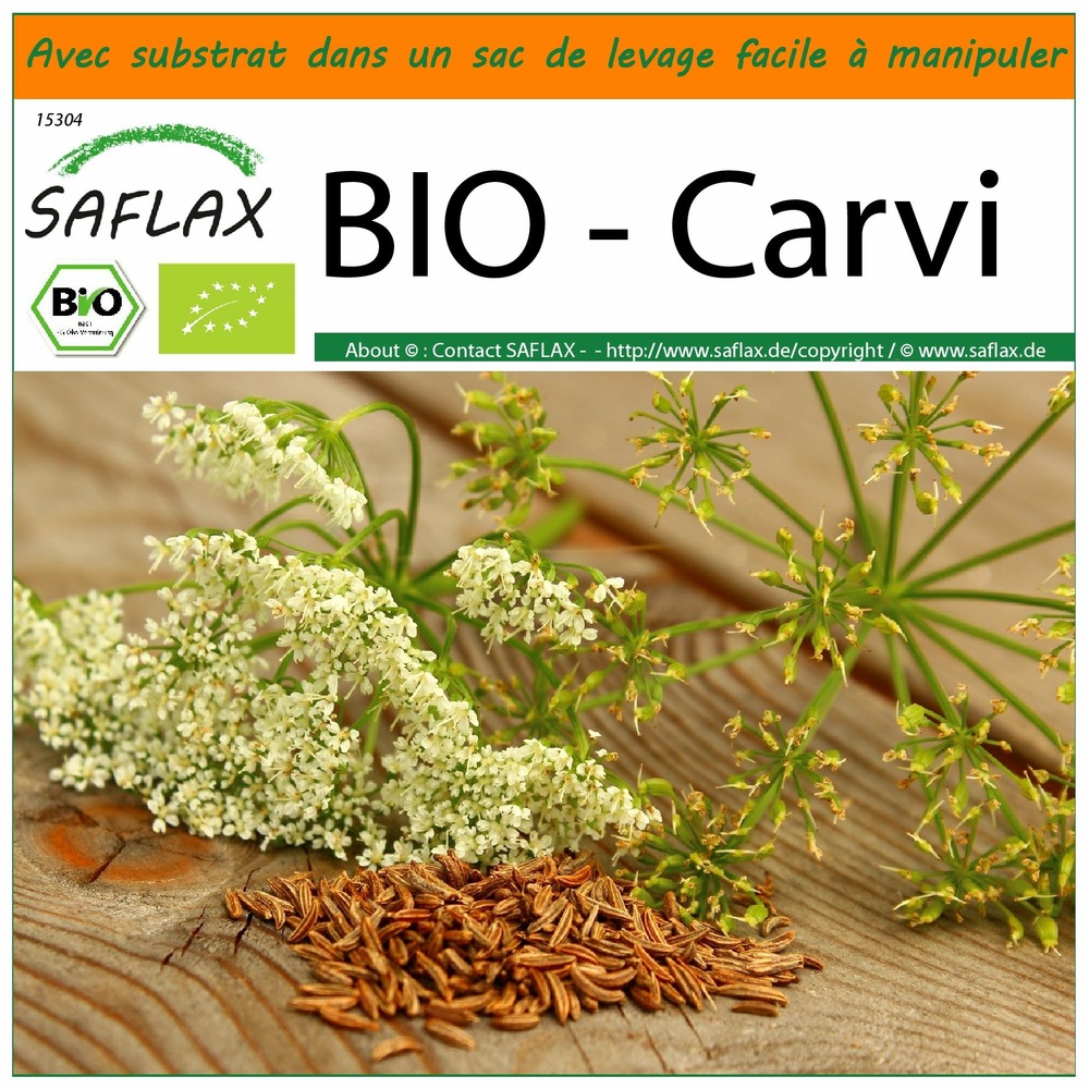 Garden in the bag - bio - carvi - 800 graines - carum carvi