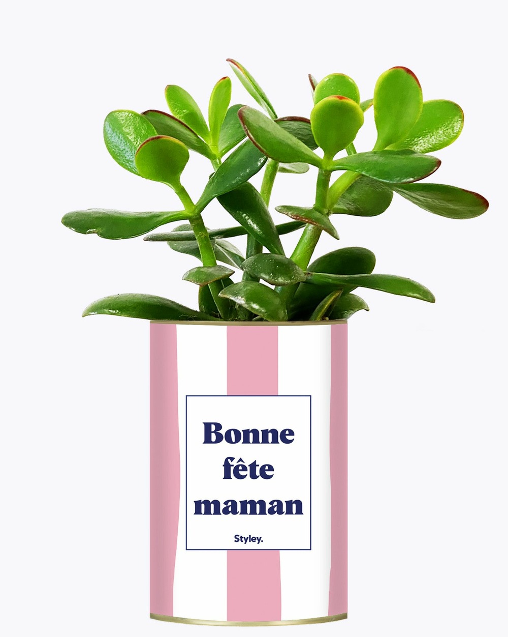 Plante personnalisée - bonne fête maman