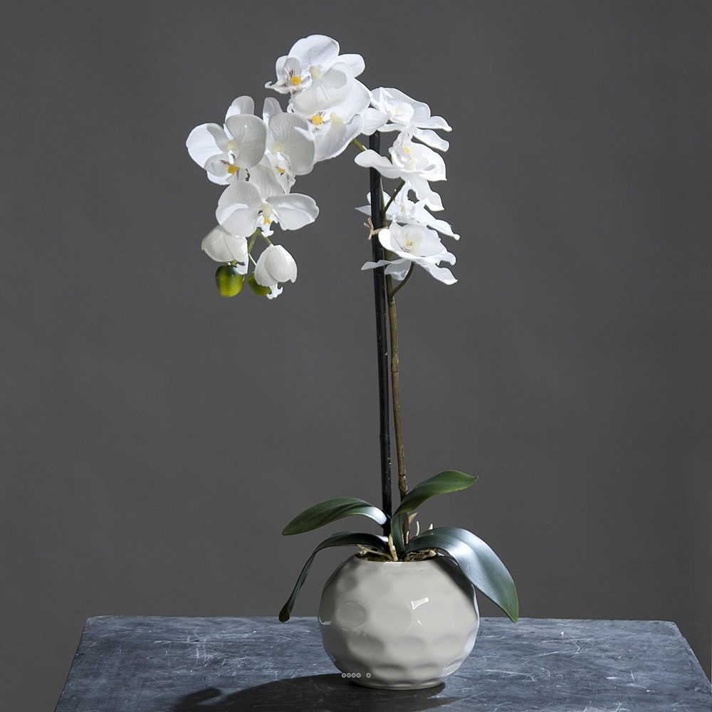 Orchidee artificielle Creme 1 hampe en pot