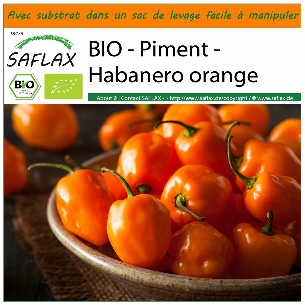 Garden in the bag - bio - piment - habanero orange - 20 graines - capsicum annuum