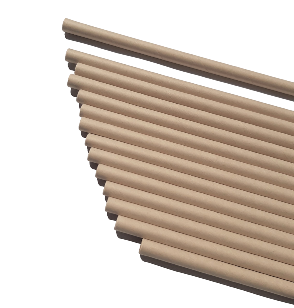 Paille jetable papier de bambou classique l 19,7 cm ø 0,6 cm - les pailles logiques