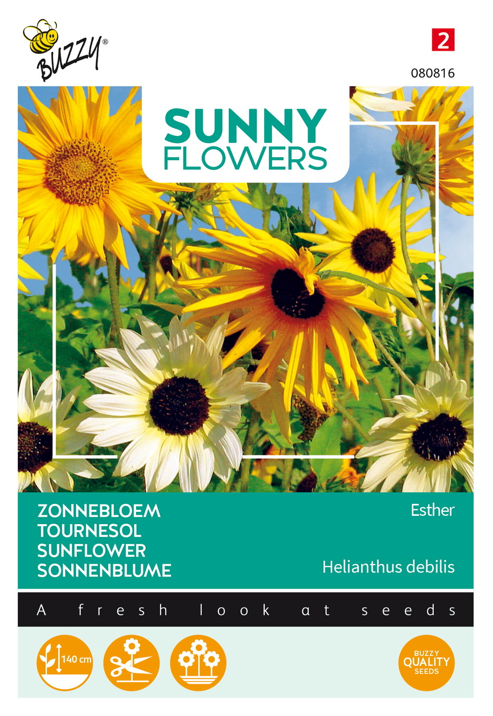 Buzzy sunny flowers, tournesol esther - ca. 1 gr (livraison gratuite)