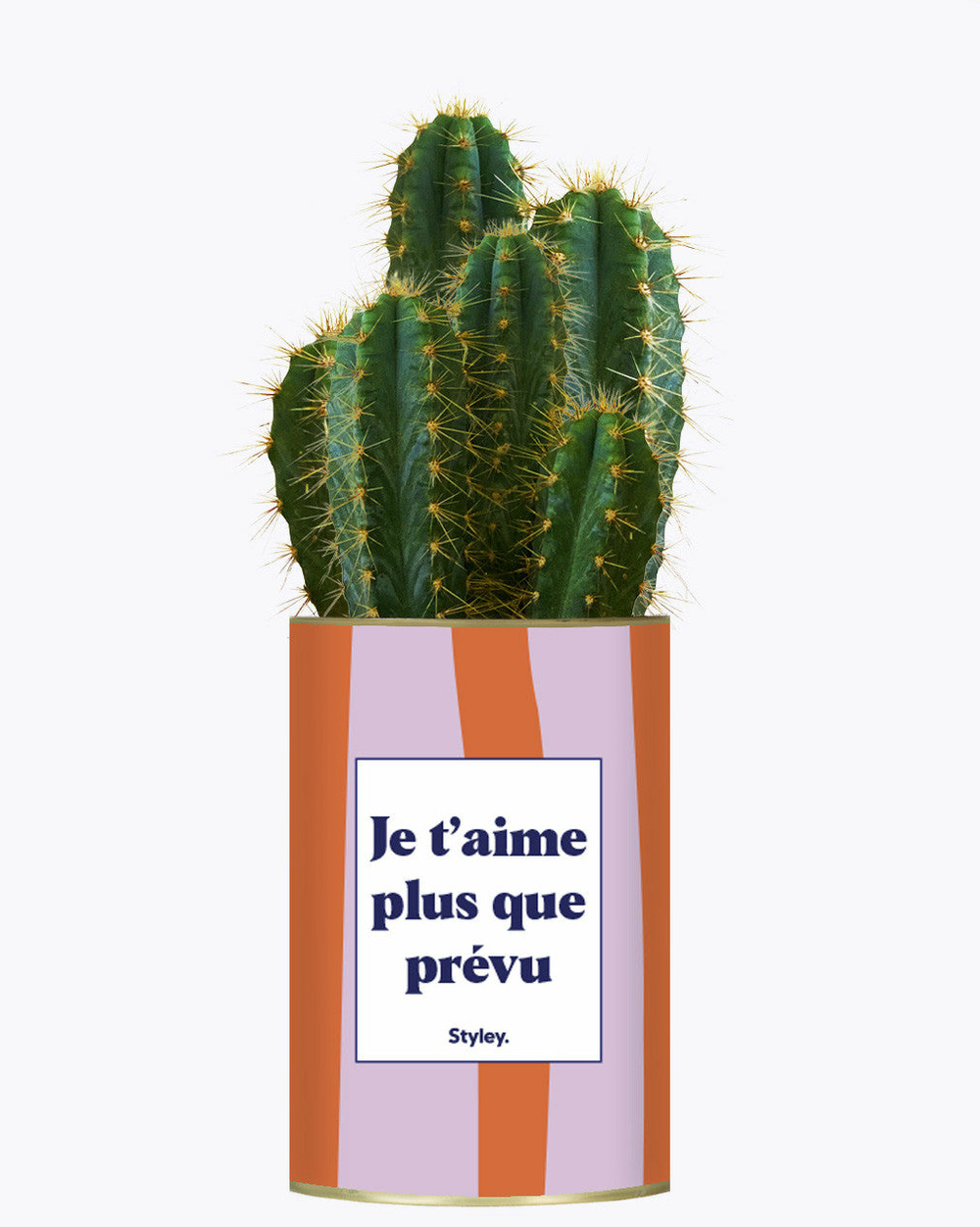 Idée cadeau - je t'aime plus que prévu - cactus