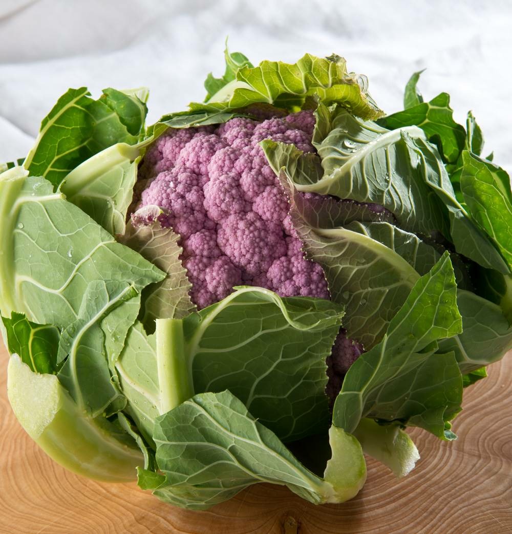 Chou fleur parmac hf1 - 75 graines