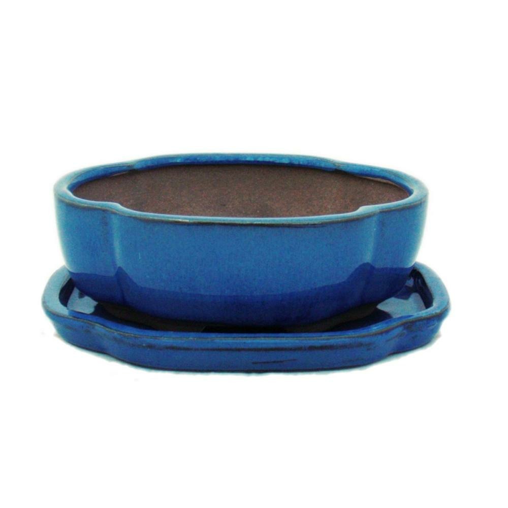 Bol bonsaï avec soucoupe taille 2 - bleu - haitang/ovale - modèle i5 - l 14,5cm - b 12,5cm - h 5cm