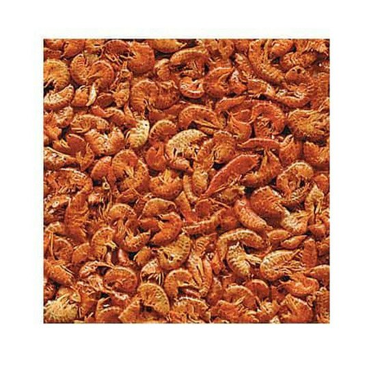 Gammarus, aliment naturel pour aquariophilie 100 g pour tortues d'eau