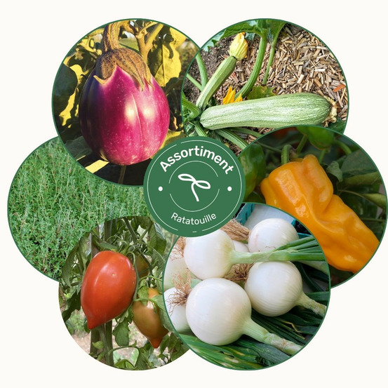 Assortiment ratatouille - graines bio