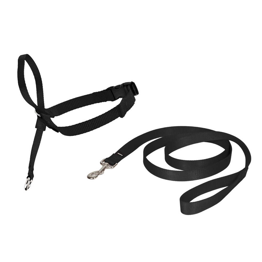 Licol easy walk - s noir