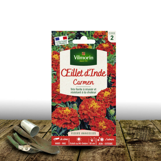 Graines d'oeillet d'inde carmen - vilmorin sachet