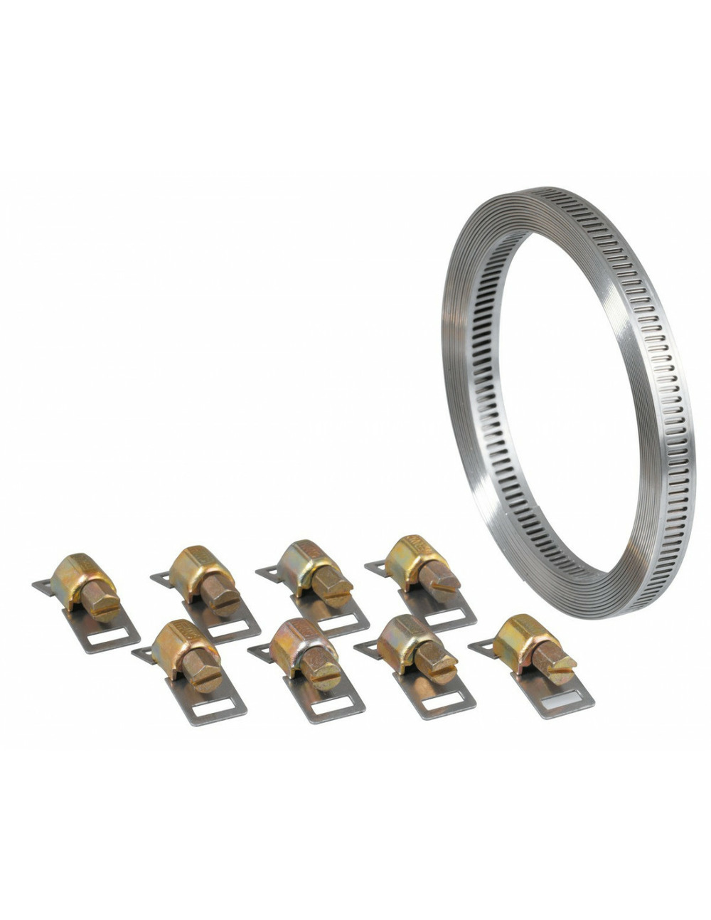 Collier à bande sans fin + 6 têtes w2 inox / acier zingué - 3 m - 13 mm - cap vert