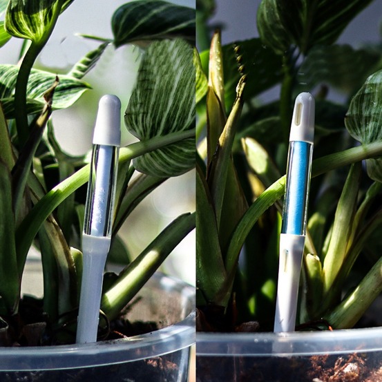 Vérificateur d'arrosage des plantes, empêche les plantes de se faner, pas besoin de piles - M