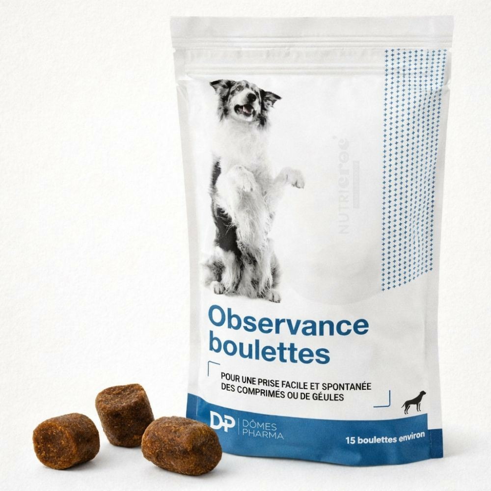 Observence boulettes – friandises pour donner un comprimé chien 15 boulettes