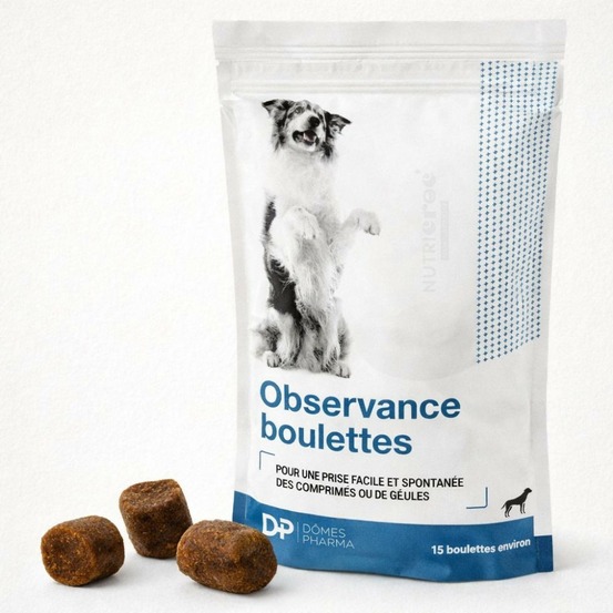 Observence boulettes – friandises pour donner un comprimé chien 15 boulettes