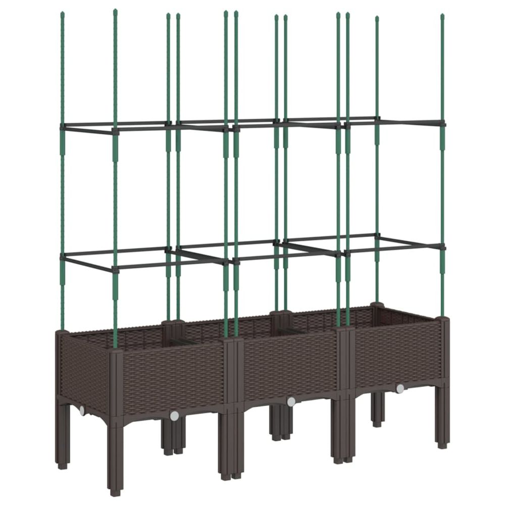 Jardinière d'extérieur avec treillis marron 120x40x142,5 cm pp