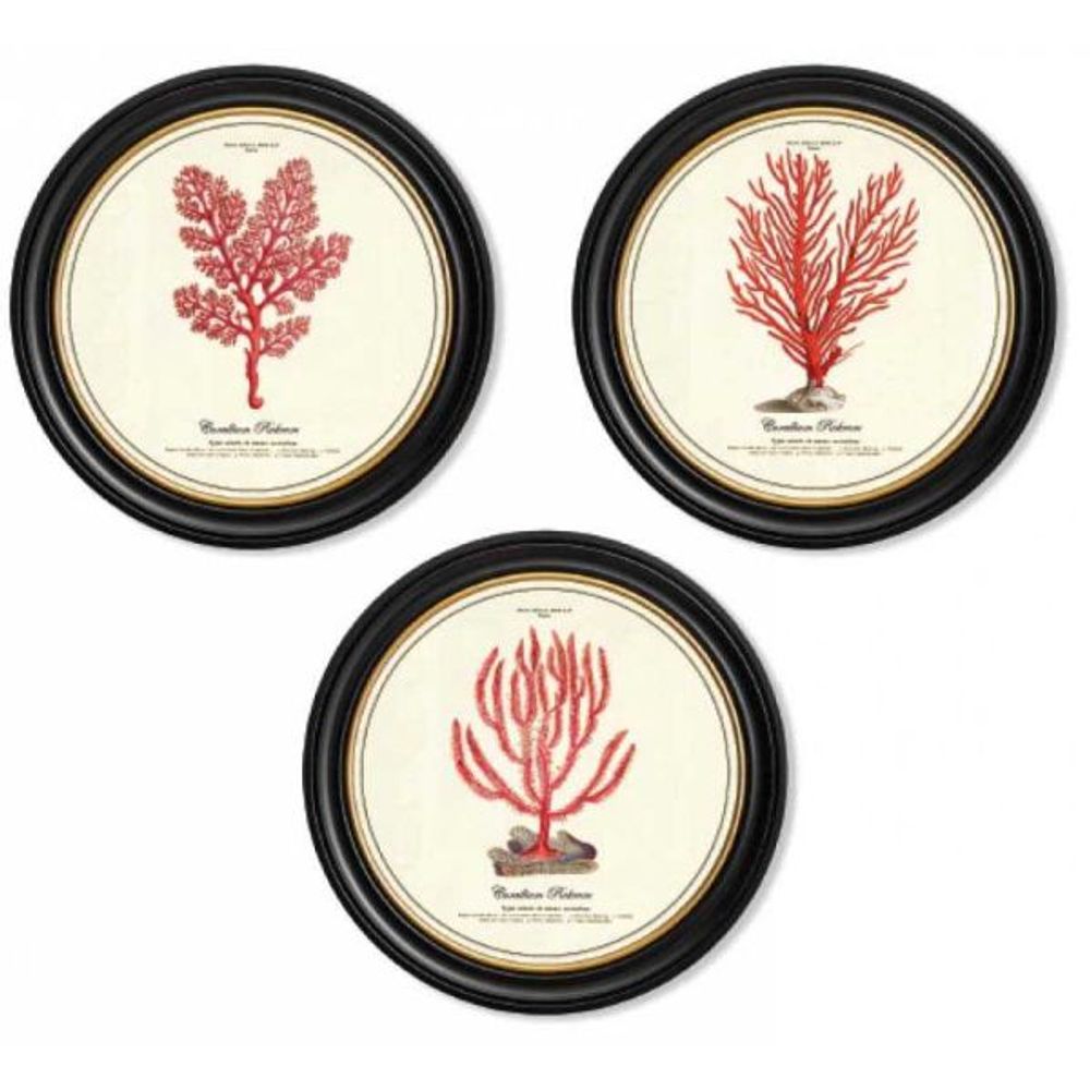 Assortiment de 3 cadres corail